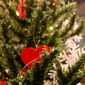 IMG 7595181214